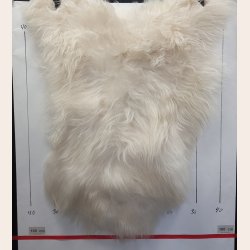 Islandsk lammeskind langh�ret lyst str M - 2012