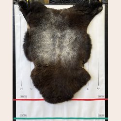 LAMMESKIND NATURLIGT - 6214