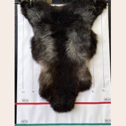 LAMMESKIND NATURLIGT - 6216