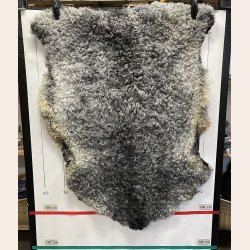 Dansk Gottlandsk Lammeskind gr�t kr�llet vaskbar - 8644