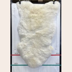 F�RESKIND lyst 6510