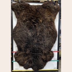 F�RESKIND 140+ cm - 6601