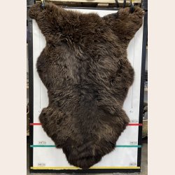 F�RESKIND 135+ cm - 6603