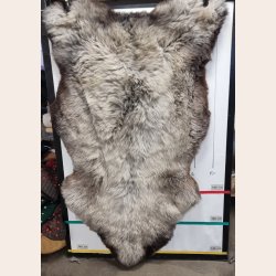 F�RESKIND 140+ cm - 6719