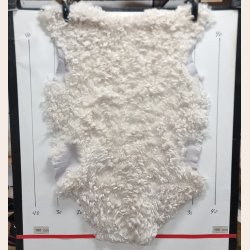 leicester Lammeskind lyst kr�llet vaskbar - 8410