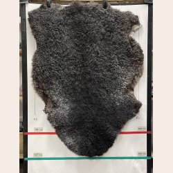 Dansk Gottlandsk Lammeskind 2. sortering - 8649