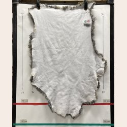 Dansk Gottlandsk Lammeskind 2. sortering - 8653