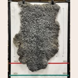 Dansk Gottlandsk Lammeskind 2. sortering - 8653