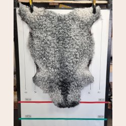Gottlandsk Lammeskind grt krllet vaskbar - 8005