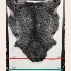 Gottlandsk Lammeskind vaskbar - 8010