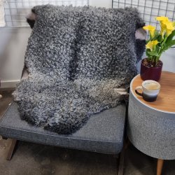 Gottlandsk Lammeskind gr�t kr�llet vaskbar - 8005