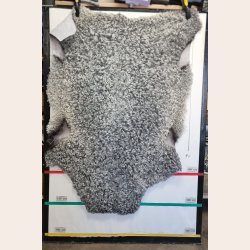 Gottlandsk Lammeskind gr�t kr�llet vaskbar - 8019