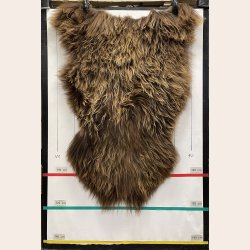 Islandsk lammeskind  naturligt brun str L - 3321 