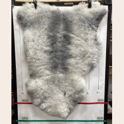 Islandsk klippet lammeskind naturligt gr� str L  3931
