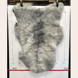 Islandsk lammeskind korth�ret gr� str M - 2910