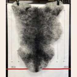 Islandsk klippet lammeskind gr� str M 2912