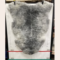 Islandsk klippet lammeskind gr� str M 2914
