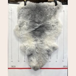 Islandsk klippet lammeskind gr� str M 2914
