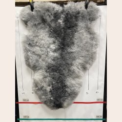 Islandsk klippet lammeskind gr� str M 2915