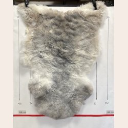 Islandsk klippet lammeskind gr� str M 2915