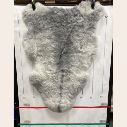 Islandsk klippet lammeskind gr� str M 2916