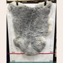 Islandsk klippet lammeskind gr� str M 2917