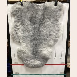 Islandsk klippet lammeskind gr� str M 2919