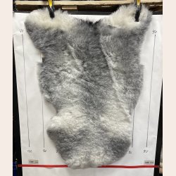 Islandsk klippet lammeskind gr� str M 2920