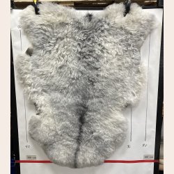Islandsk klippet lammeskind gr� str M 2924