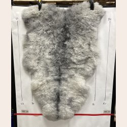 Islandsk klippet lammeskind gr� str M 2925