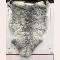 Islandsk klippet lammeskind gr� str M 2928