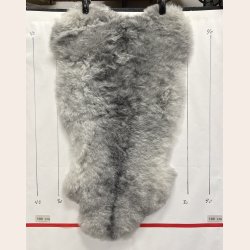 Islandsk klippet lammeskind gr� str M 2935