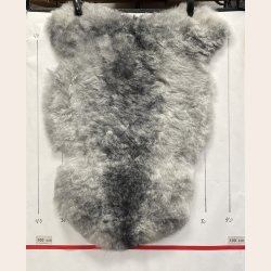 Islandsk klippet lammeskind gr� str M 2937