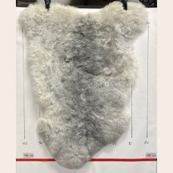 Islandsk klippet lammeskind gr� str M 2938