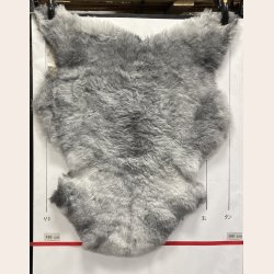 Islandsk klippet lammeskind gr� str M 2943