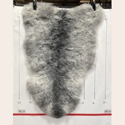 Islandsk klippet lammeskind gr� str M 2944