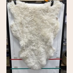 Islandsk klippet lammeskind hvid str XL 4511