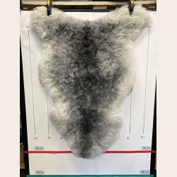 Islandsk lammeskind korth�ret gr� str M - 2910