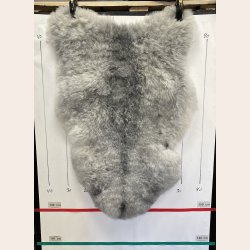 Islandsk klippet lammeskind gr� str M 2911