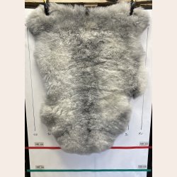 Islandsk klippet lammeskind gr� str M 2918