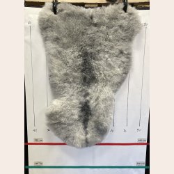 Islandsk klippet lammeskind gr� str M 2927