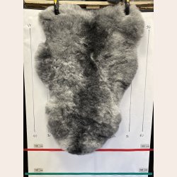 Islandsk klippet lammeskind gr� str M 2928