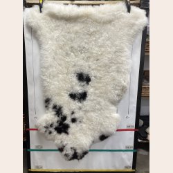 Islandsk klippet lammeskind plettet str XL 4711
