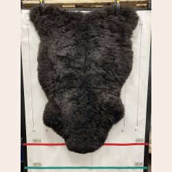 klippet lammeskind sort str L 2610