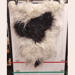 Islandsk lammeskind langh�ret plettet str M - 2214