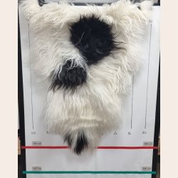 Islandsk lammeskind langh�ret plettet str M - 2216