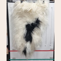 Islandsk lammeskind langh�ret plettet str M - 2222
