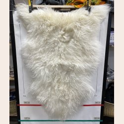 Islandsk lammeskind langh�ret hvid str L - 3011