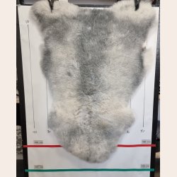 Islandsk klippet lammeskind naturligt gr str L  3915