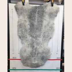 Islandsk klippet lammeskind naturligt gr str L  3916